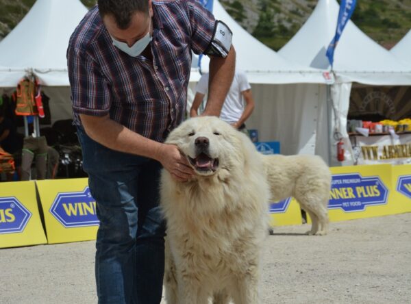 Rovere del Velino Sirente