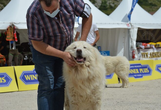 Rovere del Velino Sirente