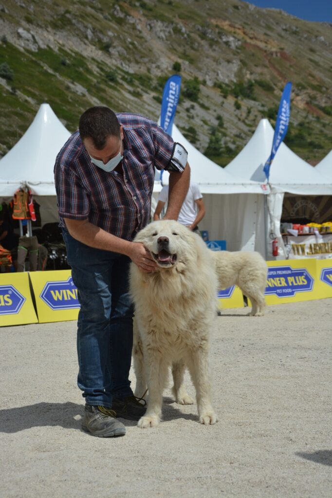 Rovere del Velino Sirente