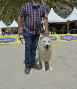 Celenza del Velino Sirente